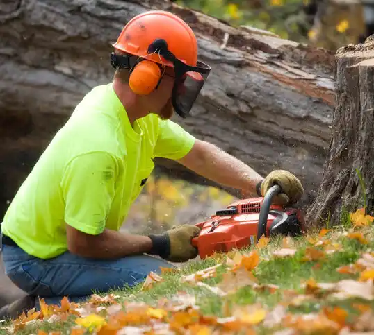 tree services Helena Valley Northwest